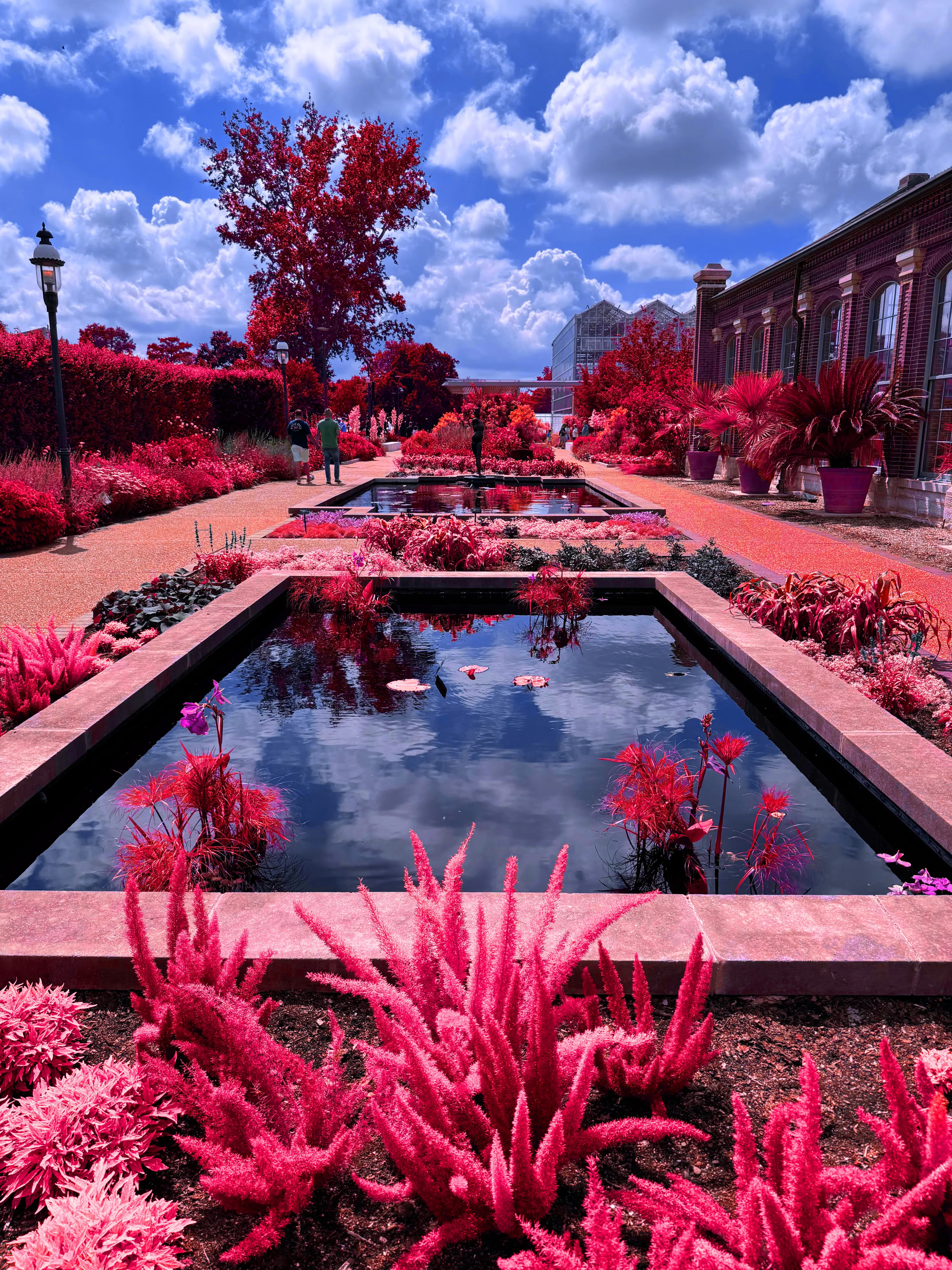 Garden pools red
